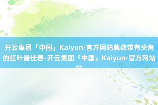 开云集团「中国」Kaiyun·官方网站就数带有尖角的红叶最佳看-开云集团「中国」Kaiyun·官方网站