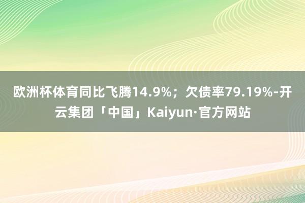 欧洲杯体育同比飞腾14.9%；欠债率79.19%-开云集团「中国」Kaiyun·官方网站