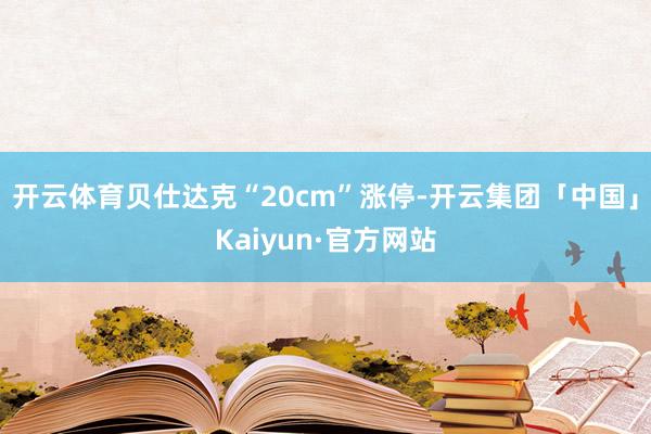 开云体育贝仕达克“20cm”涨停-开云集团「中国」Kaiyun·官方网站