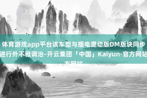 体育游戏app平台该车型与插电混动版DM版块同步进行外不雅调治-开云集团「中国」Kaiyun·官方网站