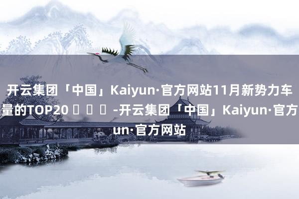 开云集团「中国」Kaiyun·官方网站11月新势力车型销量的TOP20 ​​​-开云集团「中国」Kaiyun·官方网站